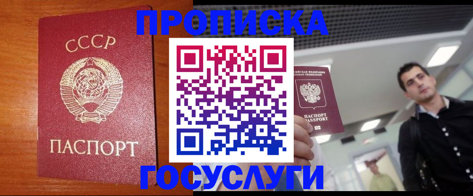 регистрация в Новосибирской области